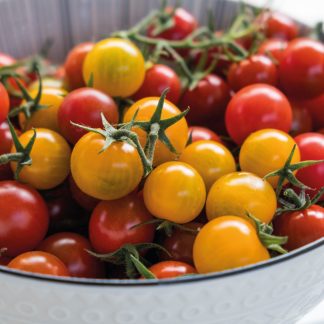 Tomate Cherry